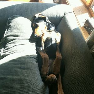 Meet your Posher, Leslie